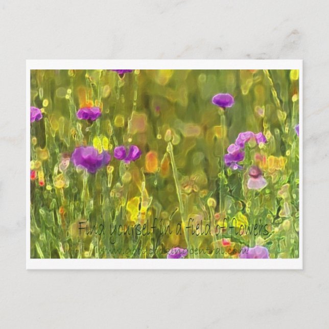 Field Flowers Postcard (Front)