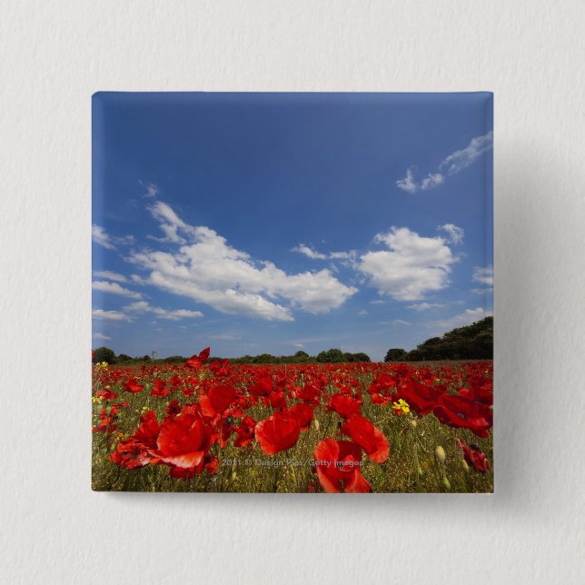 Field Full Of Red Flowers 2 Inch Square Button (Front)