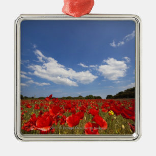 Field Full Of Red Flowers Metal Ornament