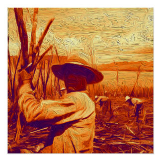 Field Hands Harvesting Sugar Cane Poster