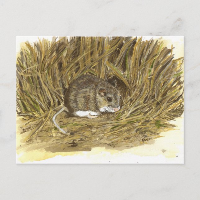 Field Mouse  post card (Front)