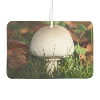 Field mushroom in a forest air freshener