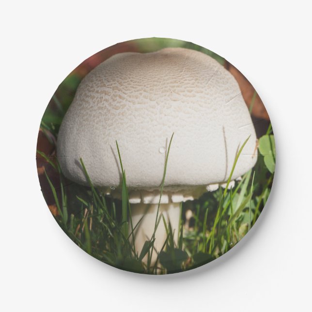 Field mushroom paper plate (Front)