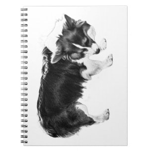 Field Notes: Autumn Nose Notebook