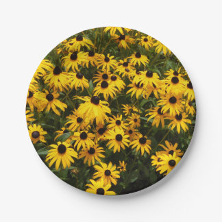 Field Of Black Eyed Susans Paper Plate