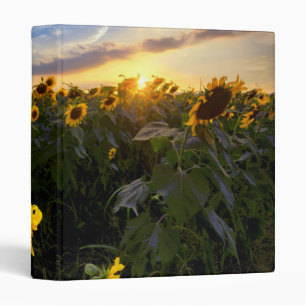 Field of Blooming Sunflowers Binder