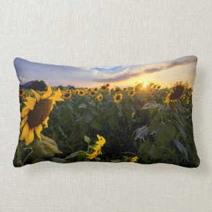 Field of Blooming Sunflowers Lumbar Pillow