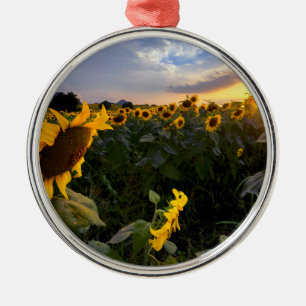 Field of Blooming Sunflowers Metal Ornament