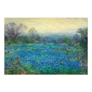 Field of Bluebonnets, 1918-1920 by Julian Onderdon Photo Print