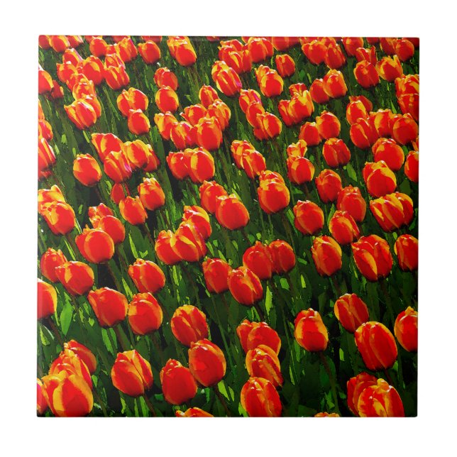 Field of Bright Orange Tulips - Watercolor Art Tile (Front)