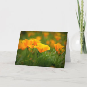 Field of California Poppies Orange Poppy Blank Card