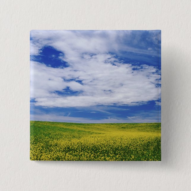 Field of Canola or Mustard flowers, Palouse 2 Inch Square Button (Front)