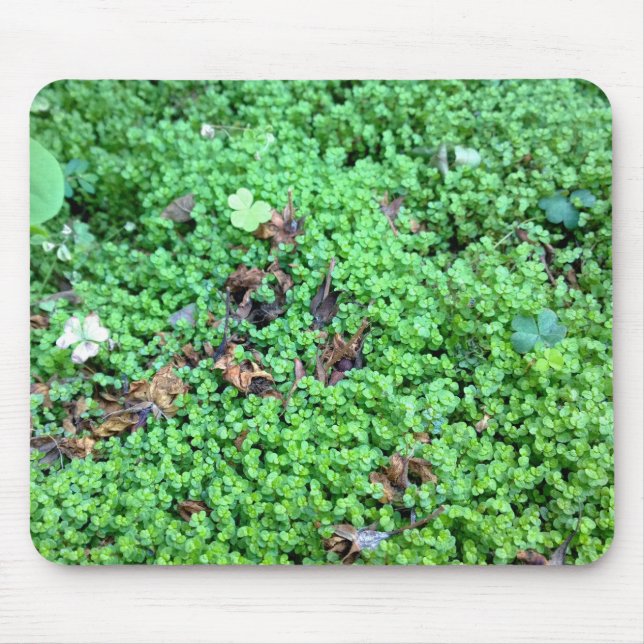 Field of Clovers Mouse Pad (Front)