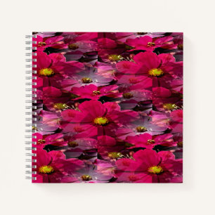 Field of Cosmos...... Notebook