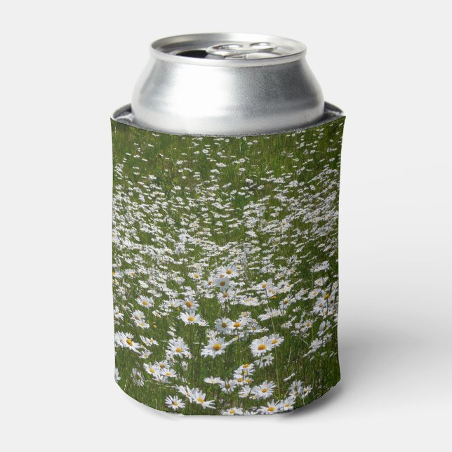 Field of Daisies Alaskan Wildflowers Can Cooler (Can Front)