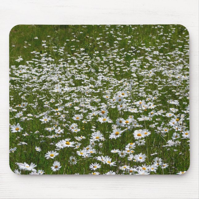 Field of Daisies Alaskan Wildflowers Mouse Pad (Front)