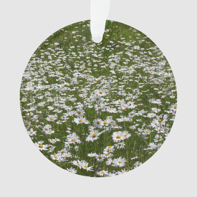 Field of Daisies Alaskan Wildflowers Ornament (Front)