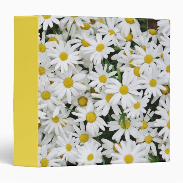 Field of Daisies Binder (Front/Spine)