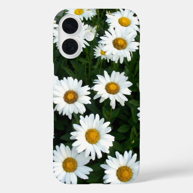 Field of Daisies iPhone Case (Back)