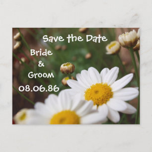 Field of Daisies Save the Date Announcement Postcard