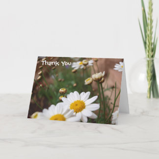 Field of Daisies Wedding Thank You Card