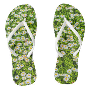 Field of daisy flowers flip flops