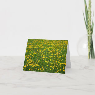 Field of Dandelions Blank Card