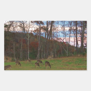 Field of Deer & a Pink SunSet Sticker