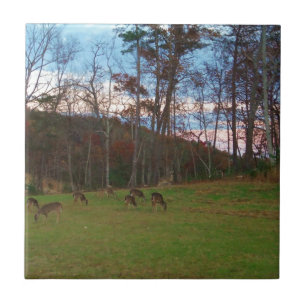 Field of Deer & a Pink SunSet Tile