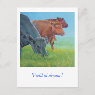 Field of dreams postcard