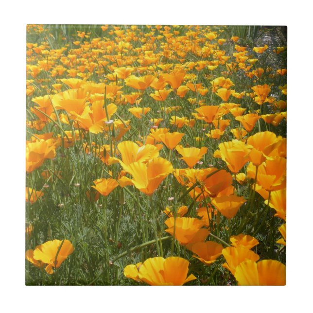 Field of Dreams Tile (Front)