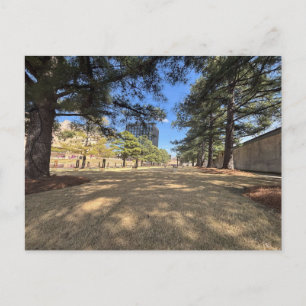 Field of Empty Chairs Postcard