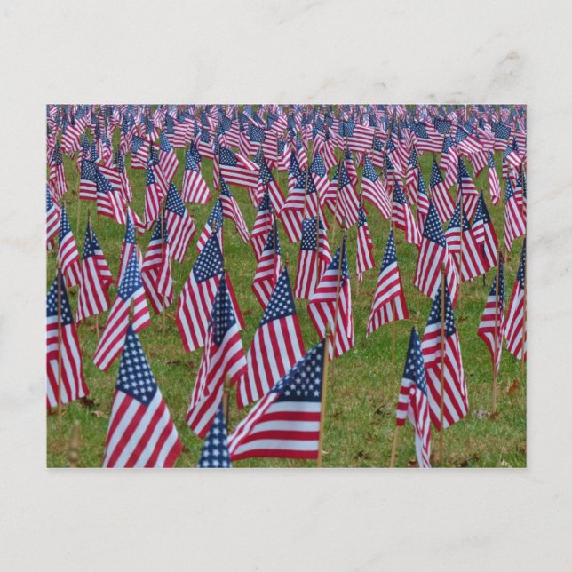 Field of Flags - Memorial American Flags Postcard (Front)