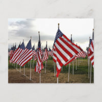 Field of Flags - Patriotic American Flags