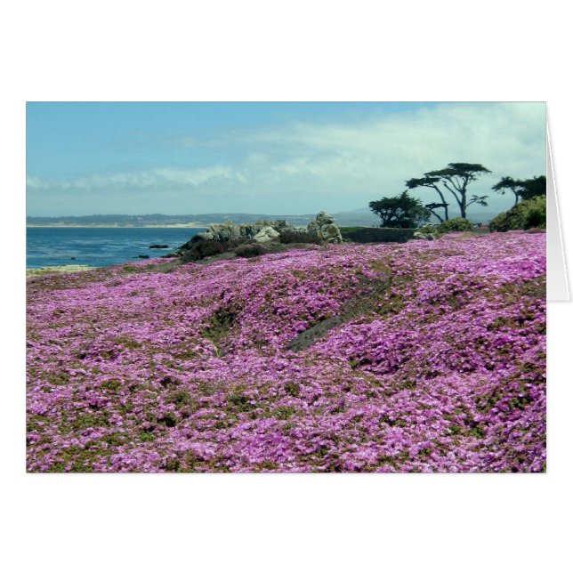 "Field of Flowers" (Front Horizontal)