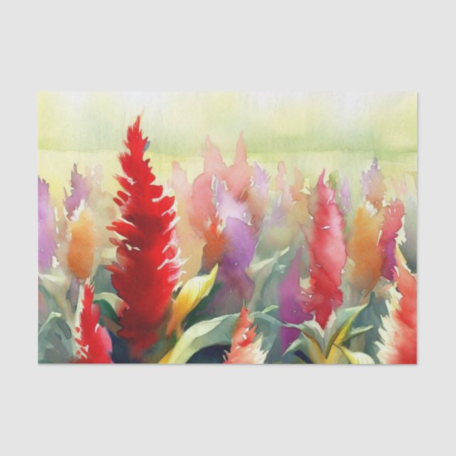 Field of Flowers-Celosia (C) Watercolor  Tissue Paper (Front)