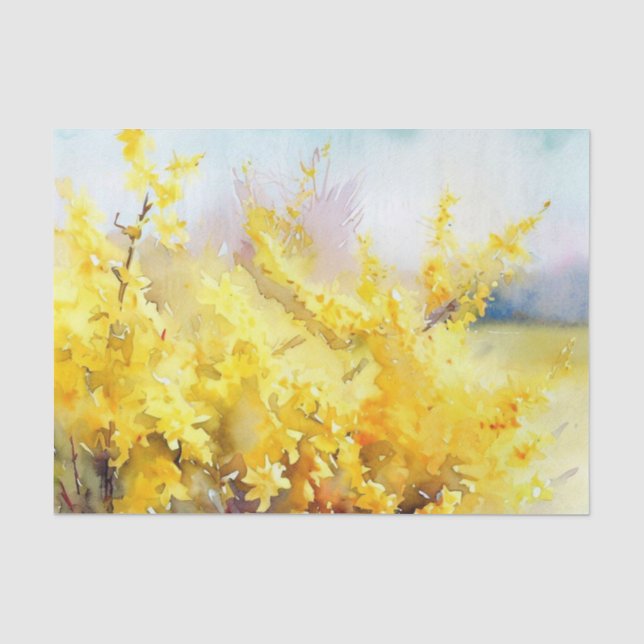 Field of Flowers-Forsythia (A) Watercolor  Tissue Paper (Front)