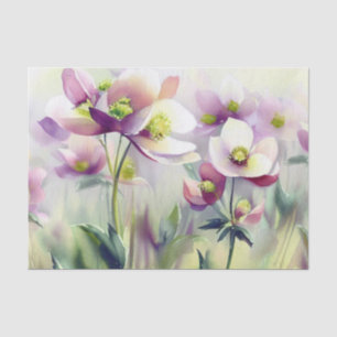Field of Flowers-Hellebore (B) Watercolor  Tissue Paper