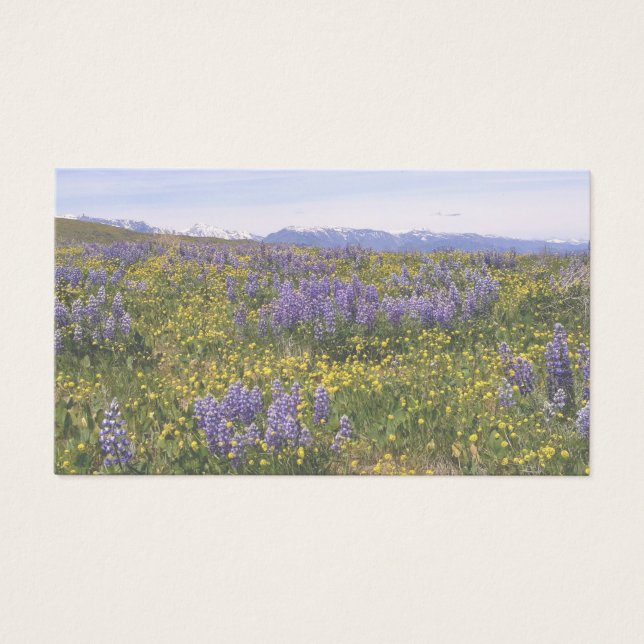 Field of Flowers Note Card (Front)