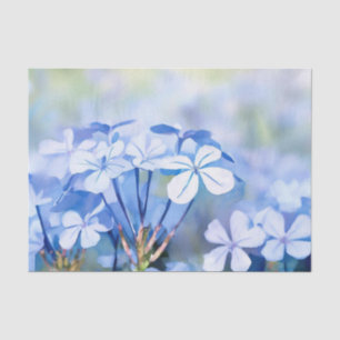 Field of Flowers-Plumbago (D) Watercolor  Tissue Paper