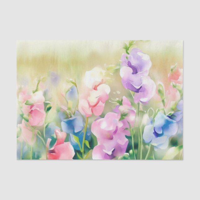 Field of Flowers-Sweet Pea (D) Watercolor  Tissue Paper (Front)