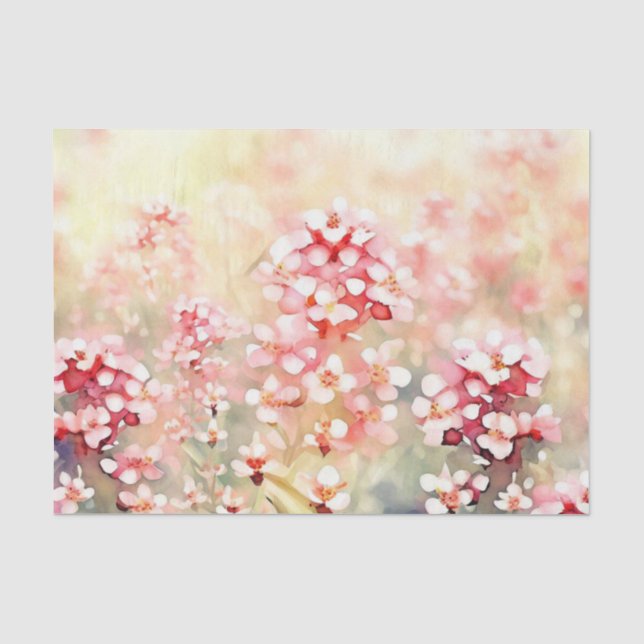 Field of Flowers-Waxflower (B) Watercolor  Tissue Paper (Front)