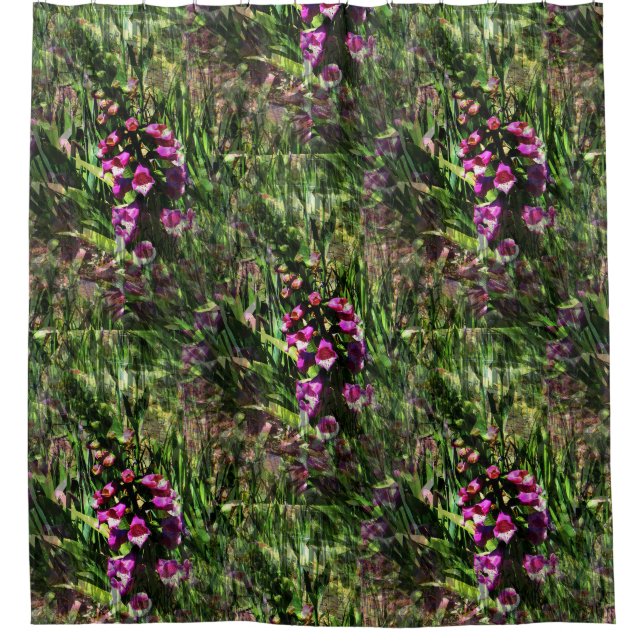 Field of Foxglove flowers..... (Front)
