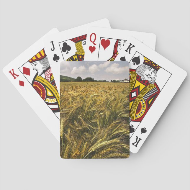 Field of Grain Playing Cards (Back)