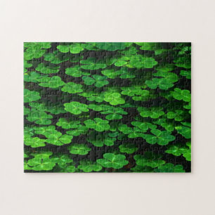 Field Of Green Shamrock Clover Jigsaw Puzzle