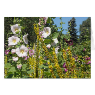Field of Hollyhocks
