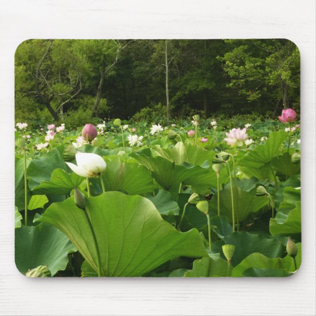 Field of Lotus Flowers Summer Garden Mouse Pad (Front)