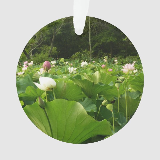 Field of Lotus Flowers Summer Garden Ornament (Front)