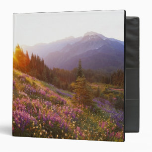 Field of lupine and Olympic Mountains at Binder