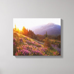 Field of lupine and Olympic Mountains at Canvas Print